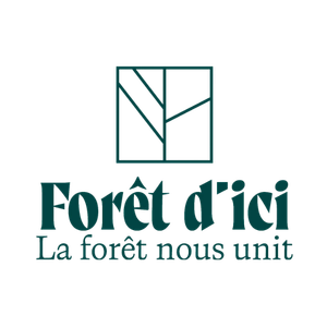Forêt d'ici